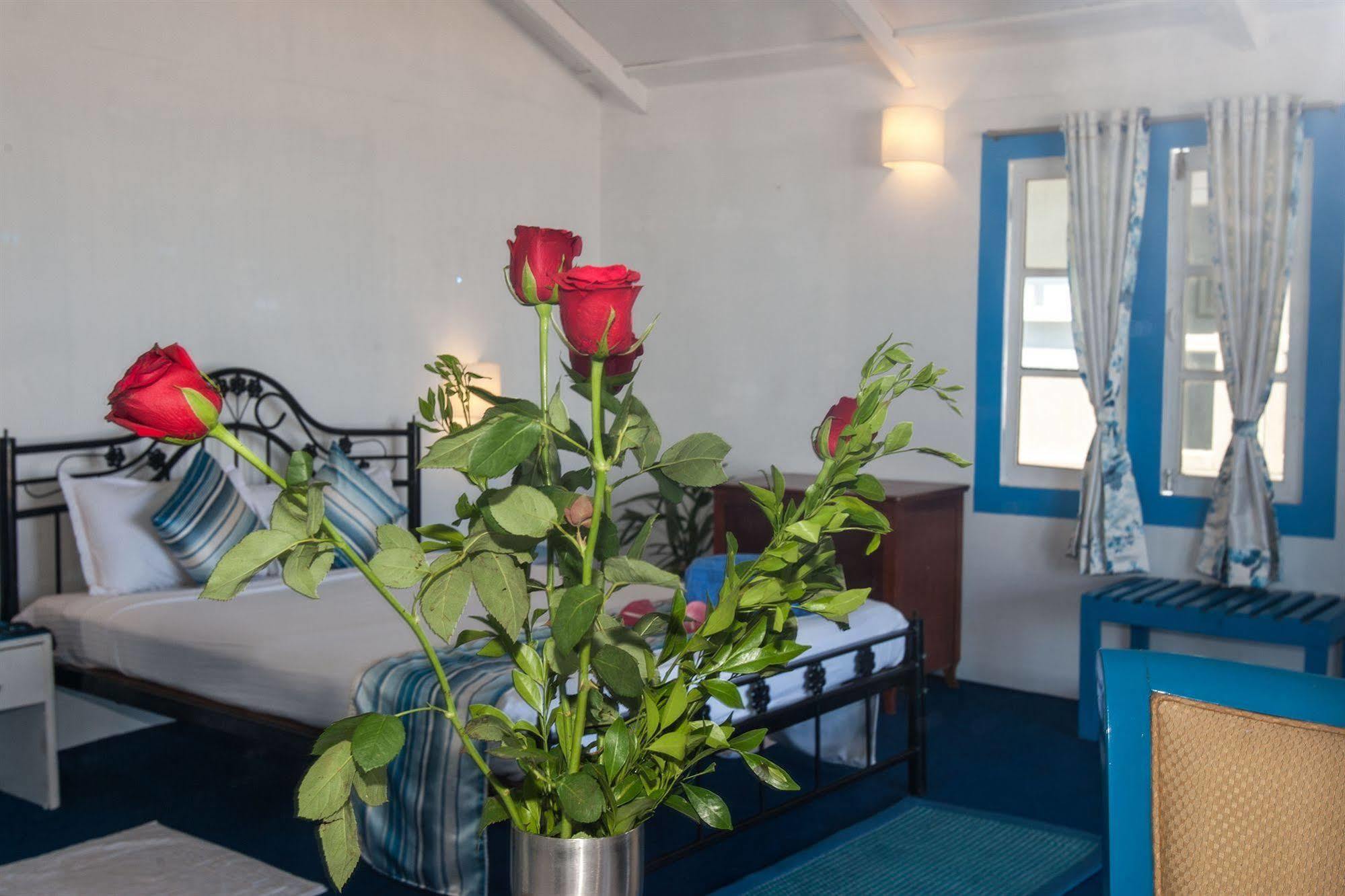 キューバ アゴンダ ビーチ Bed & Breakfast エクステリア 写真